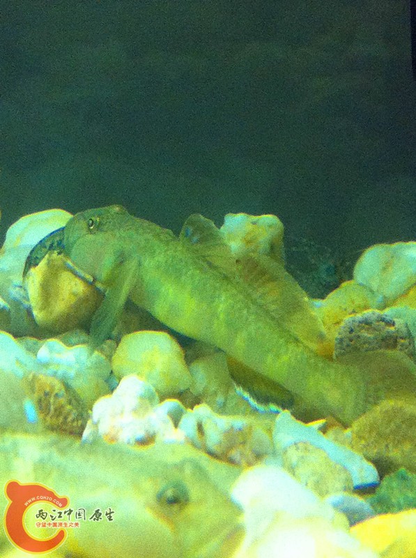 照片 018_副本.jpg