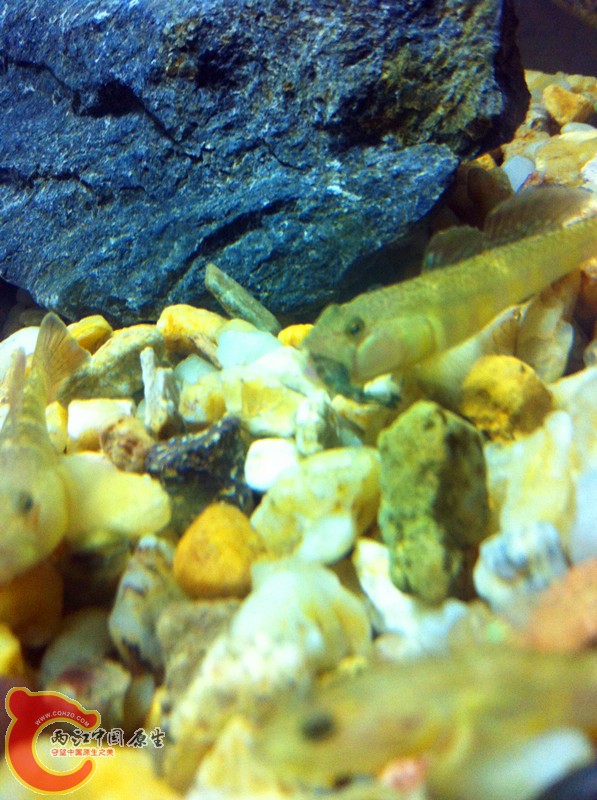 照片 019_副本.jpg