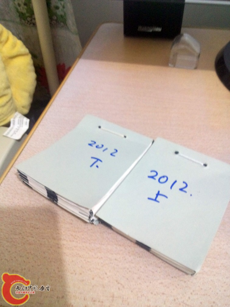 2012年3月至12月29日成果！