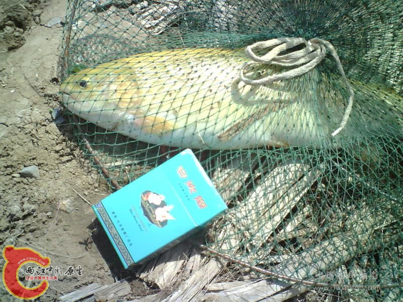 金樽2009022707023833.jpg