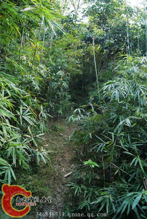 05.jpg