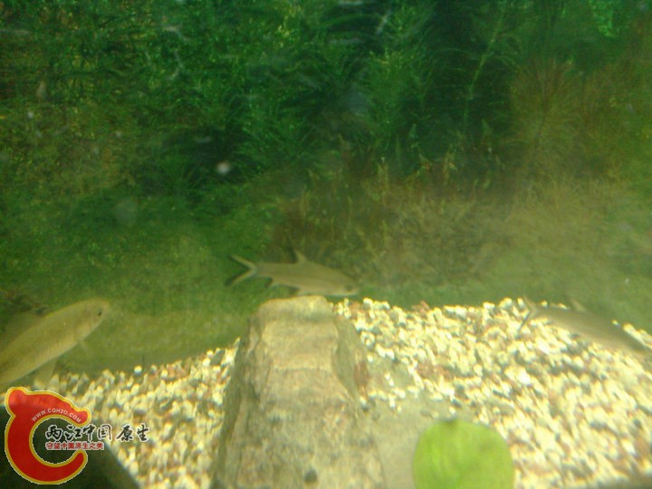 large_3uDb_7033000026f8125f.jpg