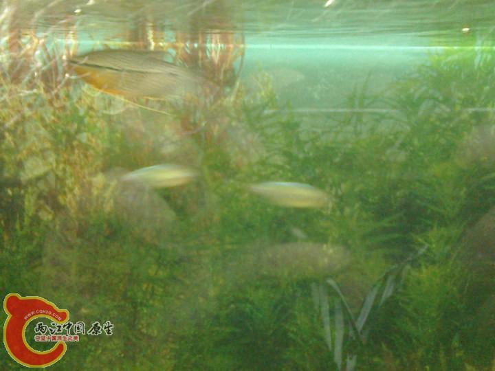 large_9Vab_6eb4000026a5125f.jpg