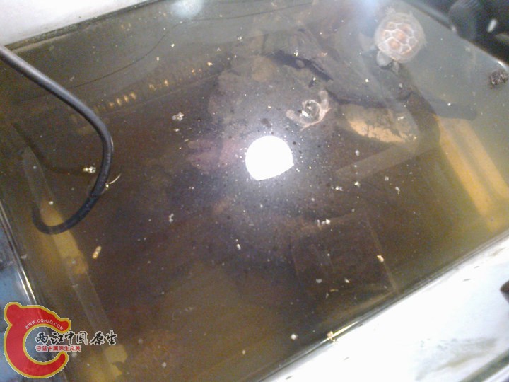 large_azOj_6fa7000026b0125f.jpg