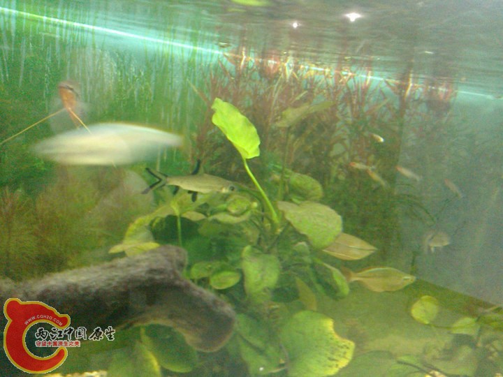 large_LX2T_70980000269d125f.jpg