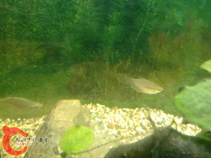 large_tcea_70980000269b125f.jpg