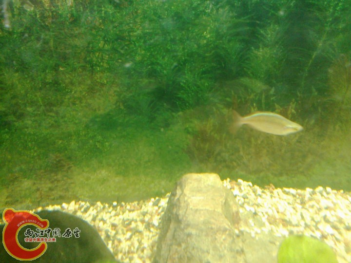 large_vSmk_7033000026f9125f.jpg