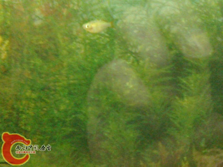 large_yIqX_70980000269f125f.jpg