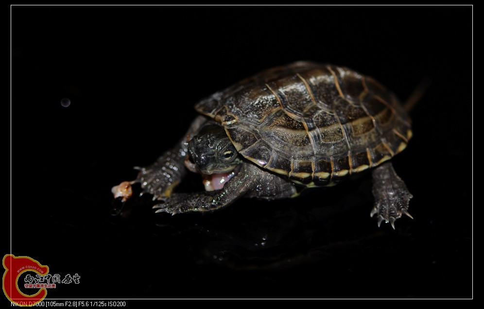 DSC_8215.jpg