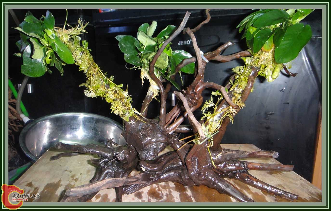 DSC05863.JPG DSC05863.JPG