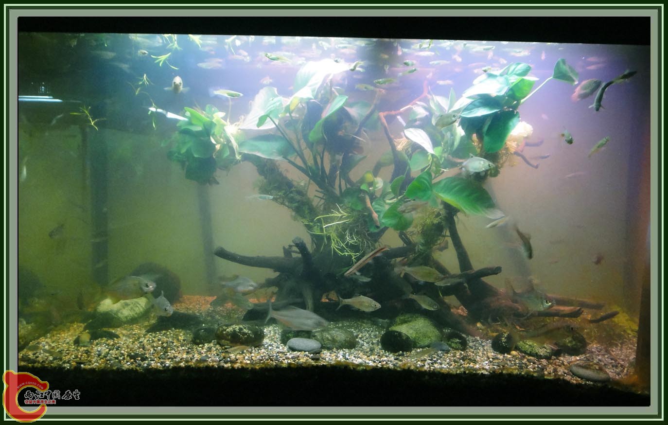 DSC05897.JPG DSC05897.JPG