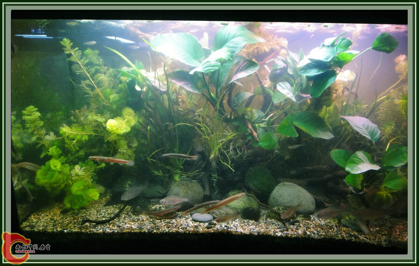 DSC05907.JPG DSC05907.JPG