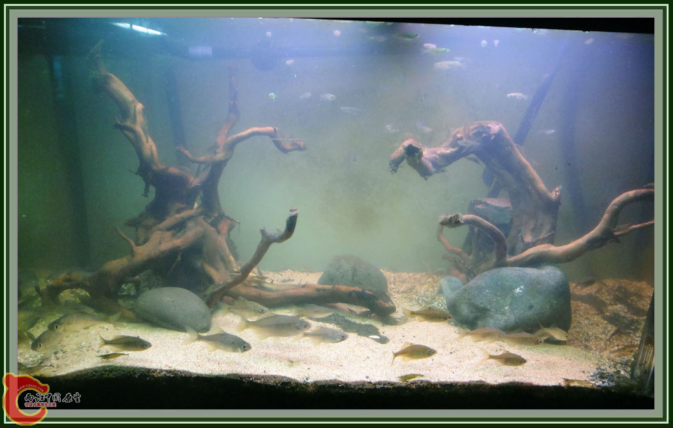 DSC05910.JPG DSC05910.JPG