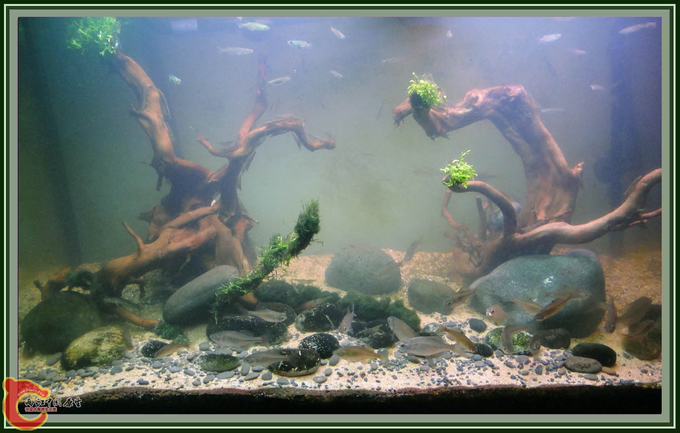 DSC05913.JPG DSC05913.JPG