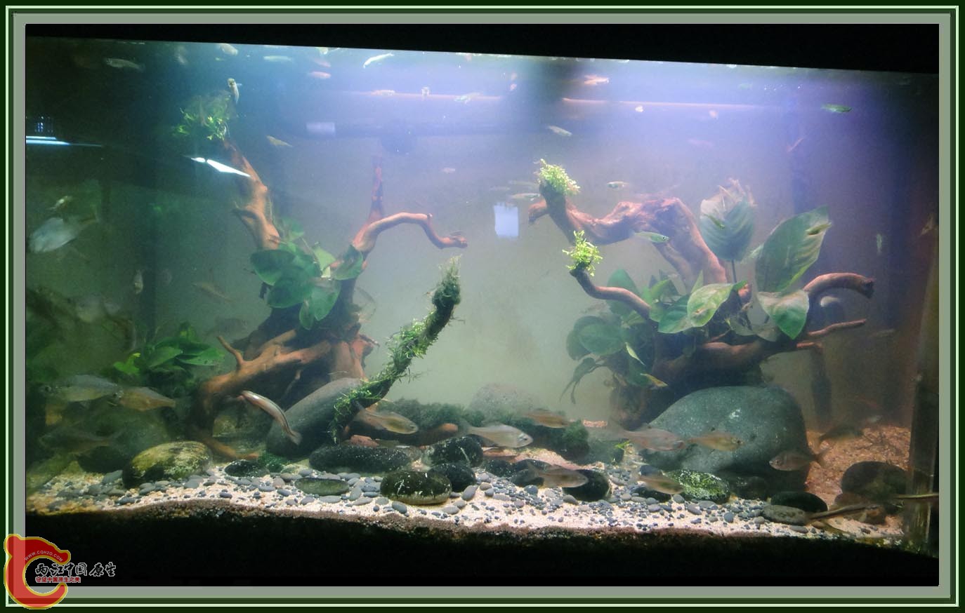 DSC05915.JPG DSC05915.JPG