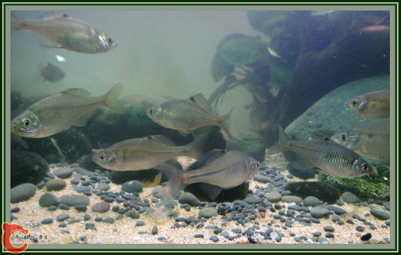 DSC05916.JPG DSC05916.JPG