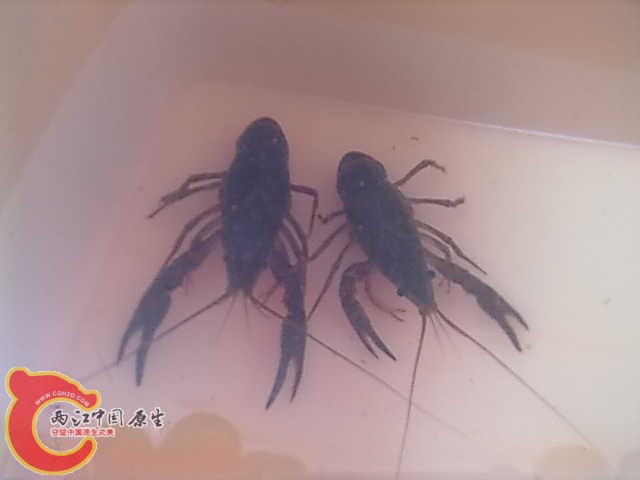 201208301618.jpg