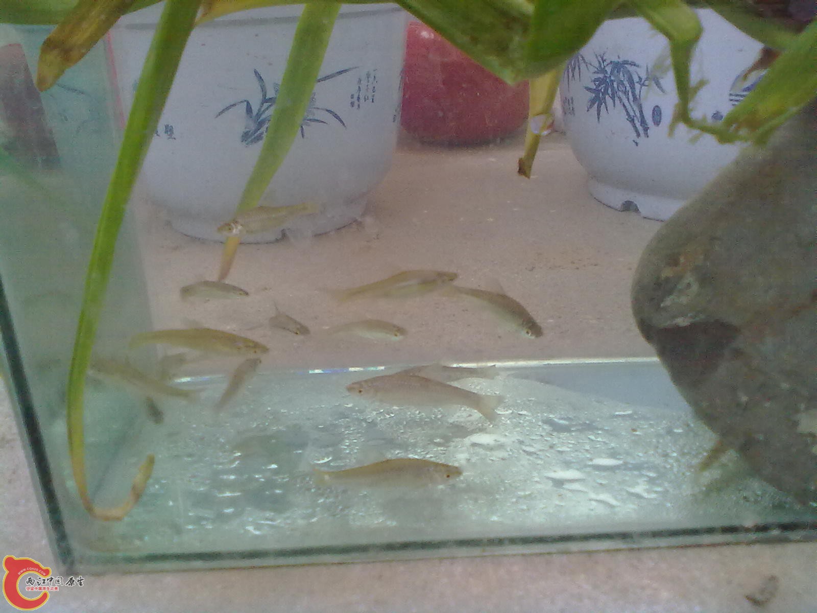 20120409470.jpg