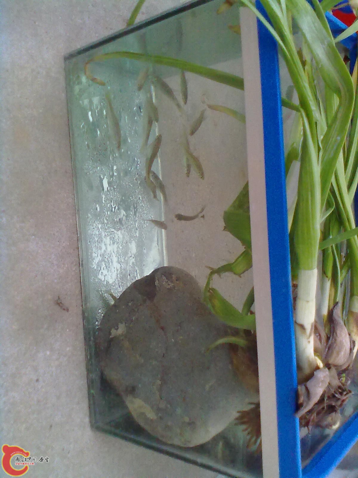 20120409474.jpg