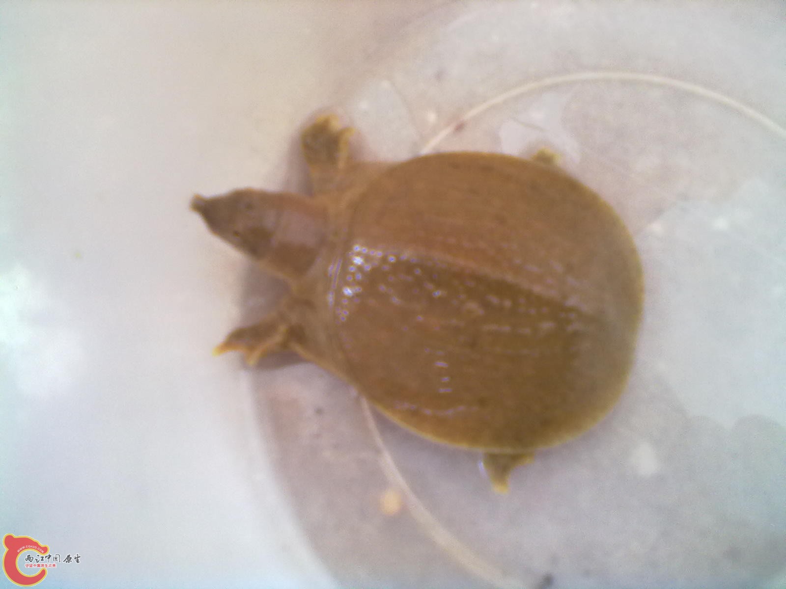 201208301619.jpg