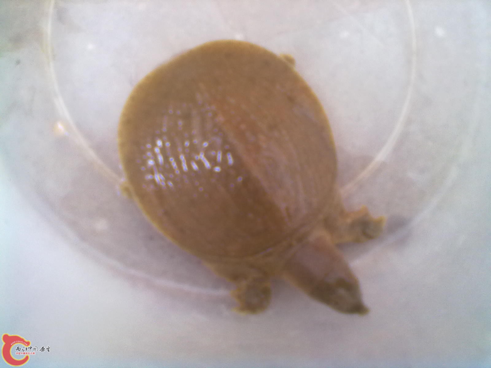 201208301620.jpg