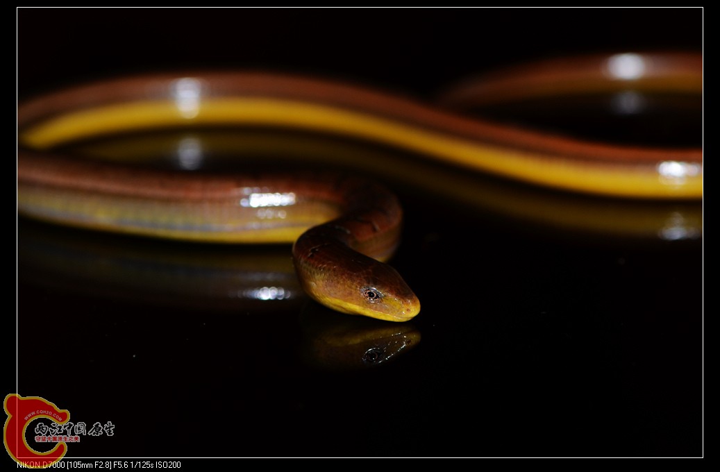 DSC_8277.jpg