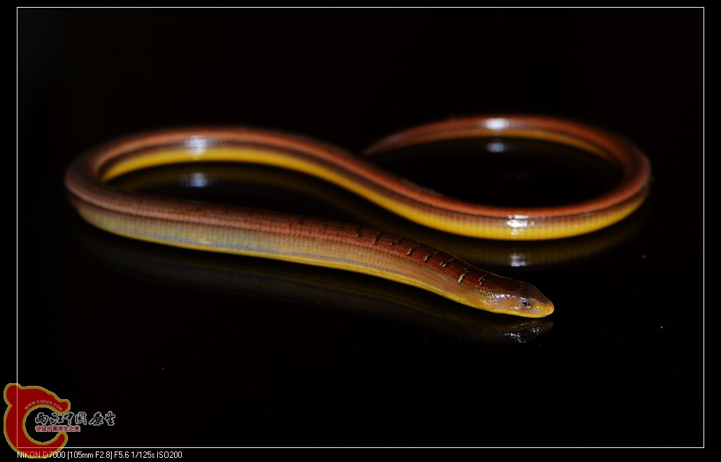 DSC_8281.jpg