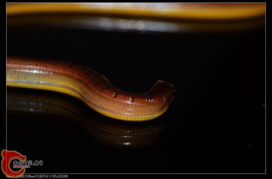 DSC_8288.jpg