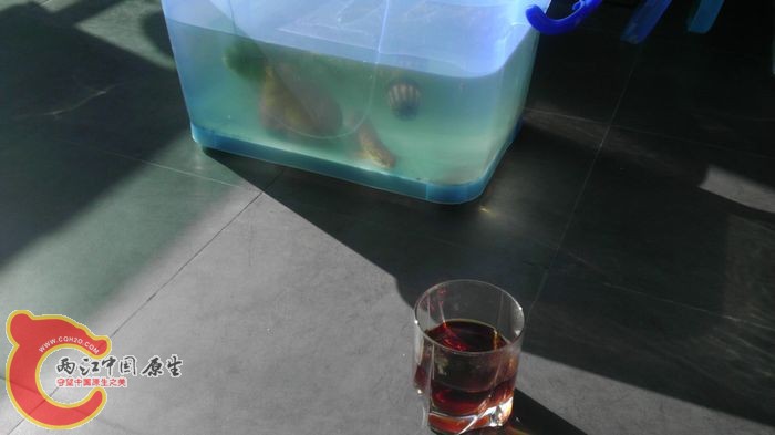 那一天 周末 你我午后阳光下 品茶