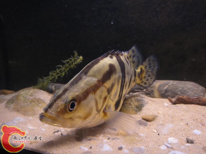 DSC02844.JPG