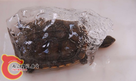 搜狗截图130121_6.jpg