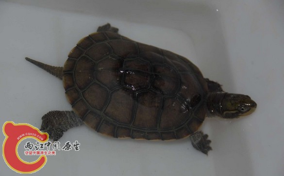 搜狗截图130121_4.jpg