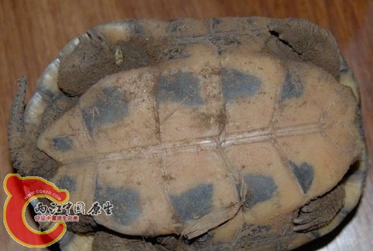 搜狗截图130121_3.jpg