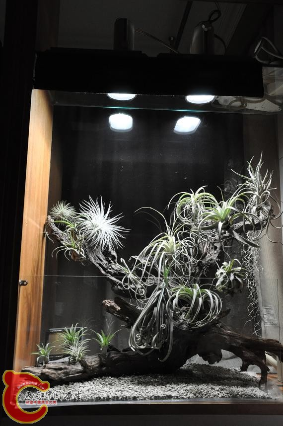 照片 067.JPG
