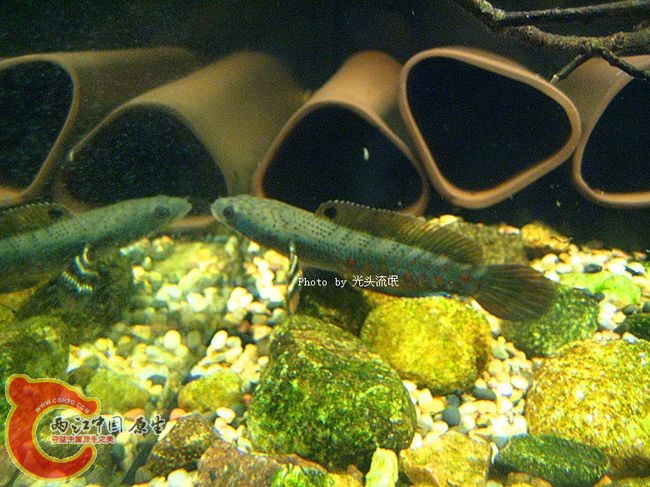 IMG_2480.jpg