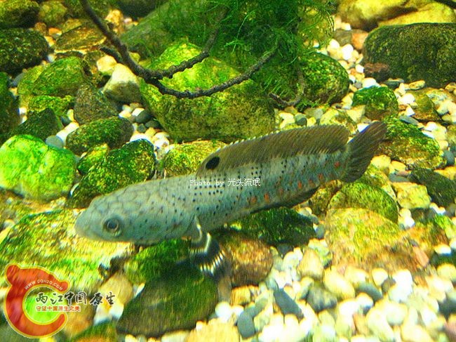 IMG_2482.jpg