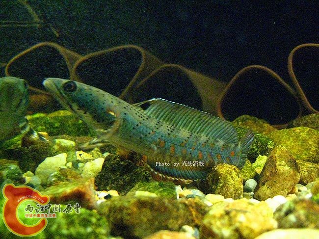 IMG_2489.jpg
