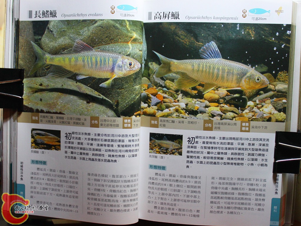 aIMG_7006.JPG