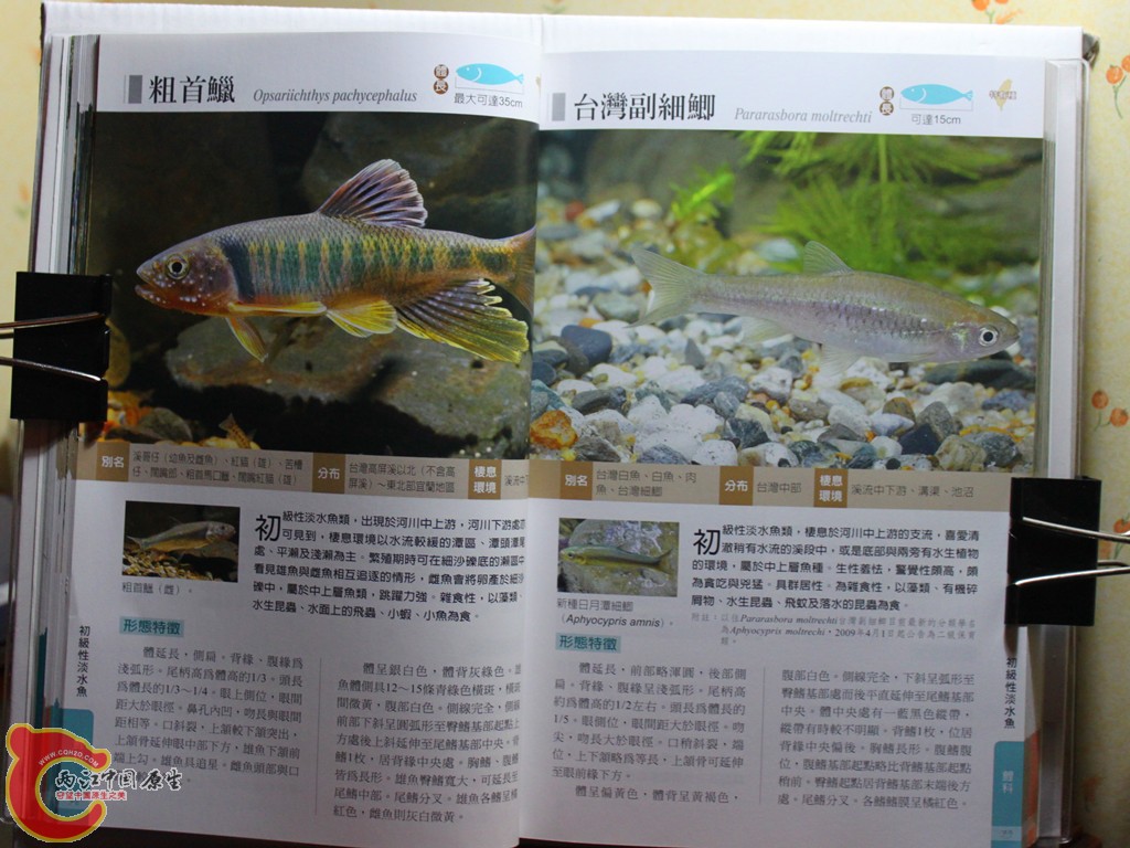 aIMG_7007.JPG