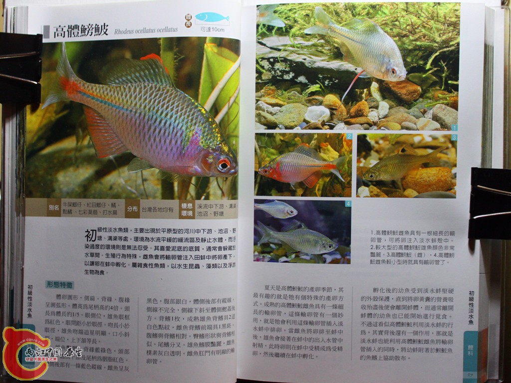 aIMG_7013_副本.jpg