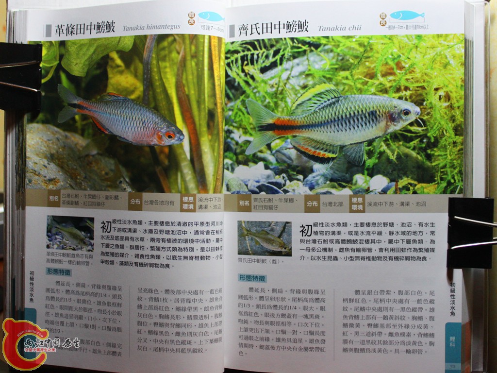 aIMG_7014.JPG