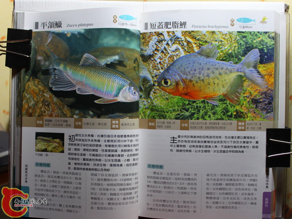 aIMG_7015.jpg