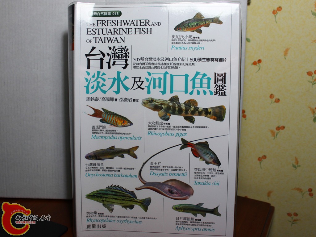 aIMG_7110.JPG