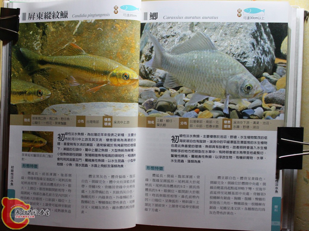 bIMG_7003.JPG