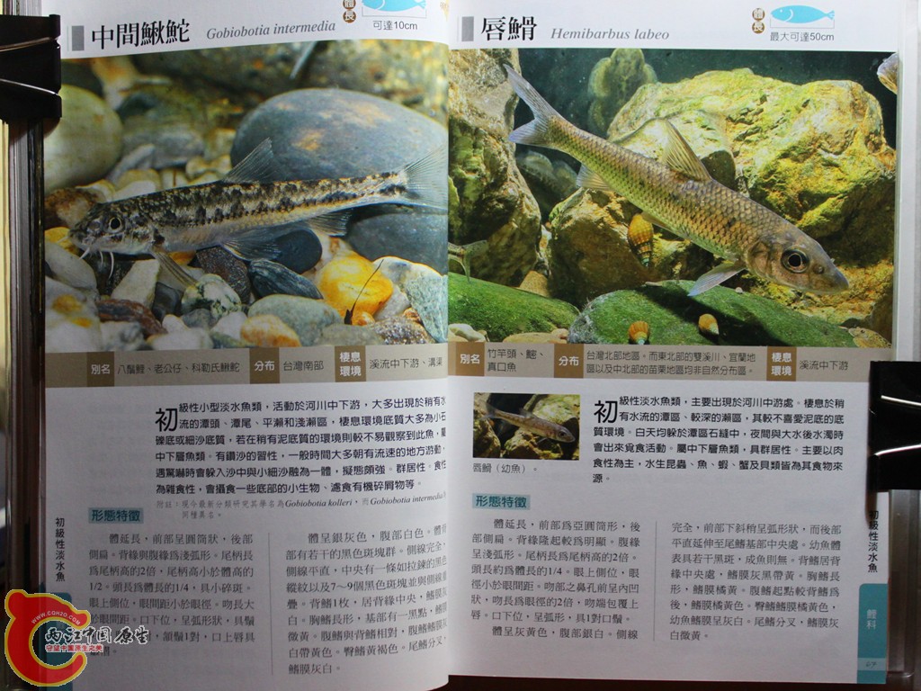 bIMG_7004.JPG
