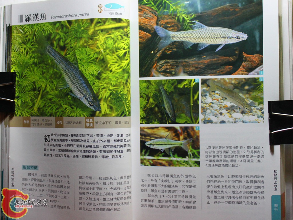 bIMG_7008.JPG