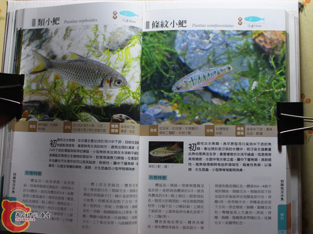 bIMG_7009.JPG