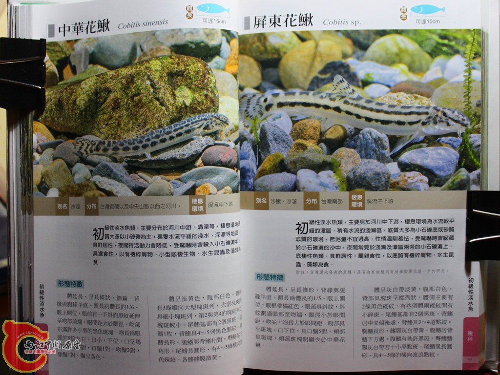 bIMG_7016.JPG