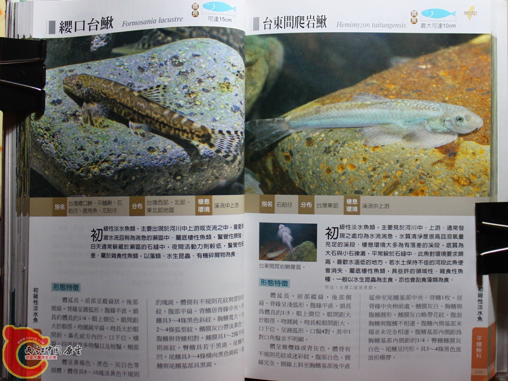 bIMG_7017.JPG