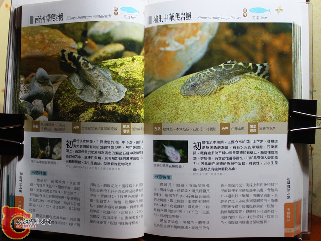 bIMG_7018.JPG